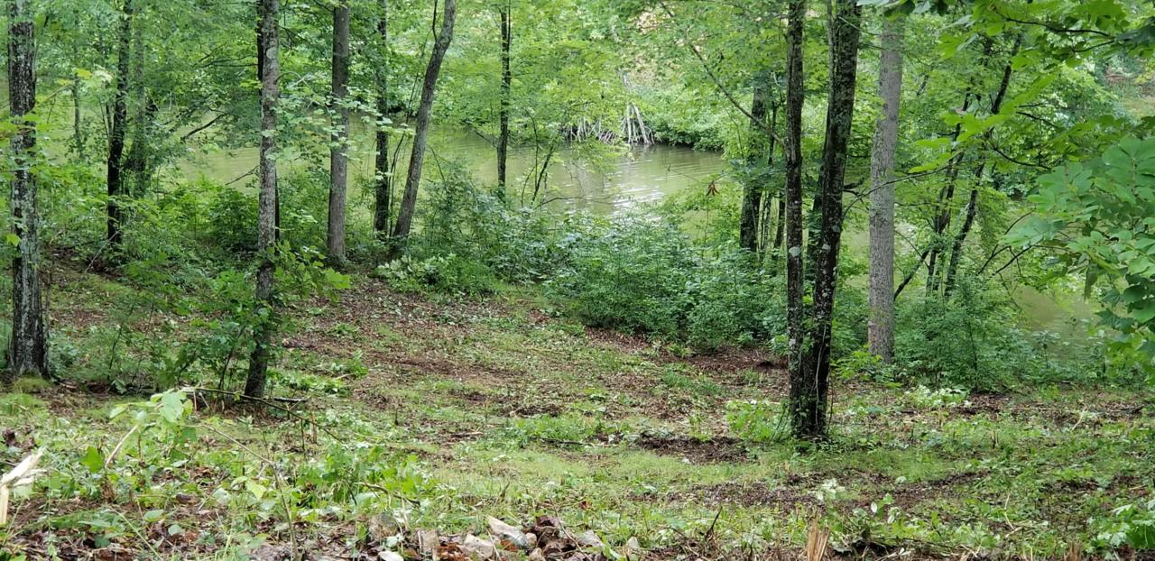 Lot 34 Emory Cove Drive - Photo 1
