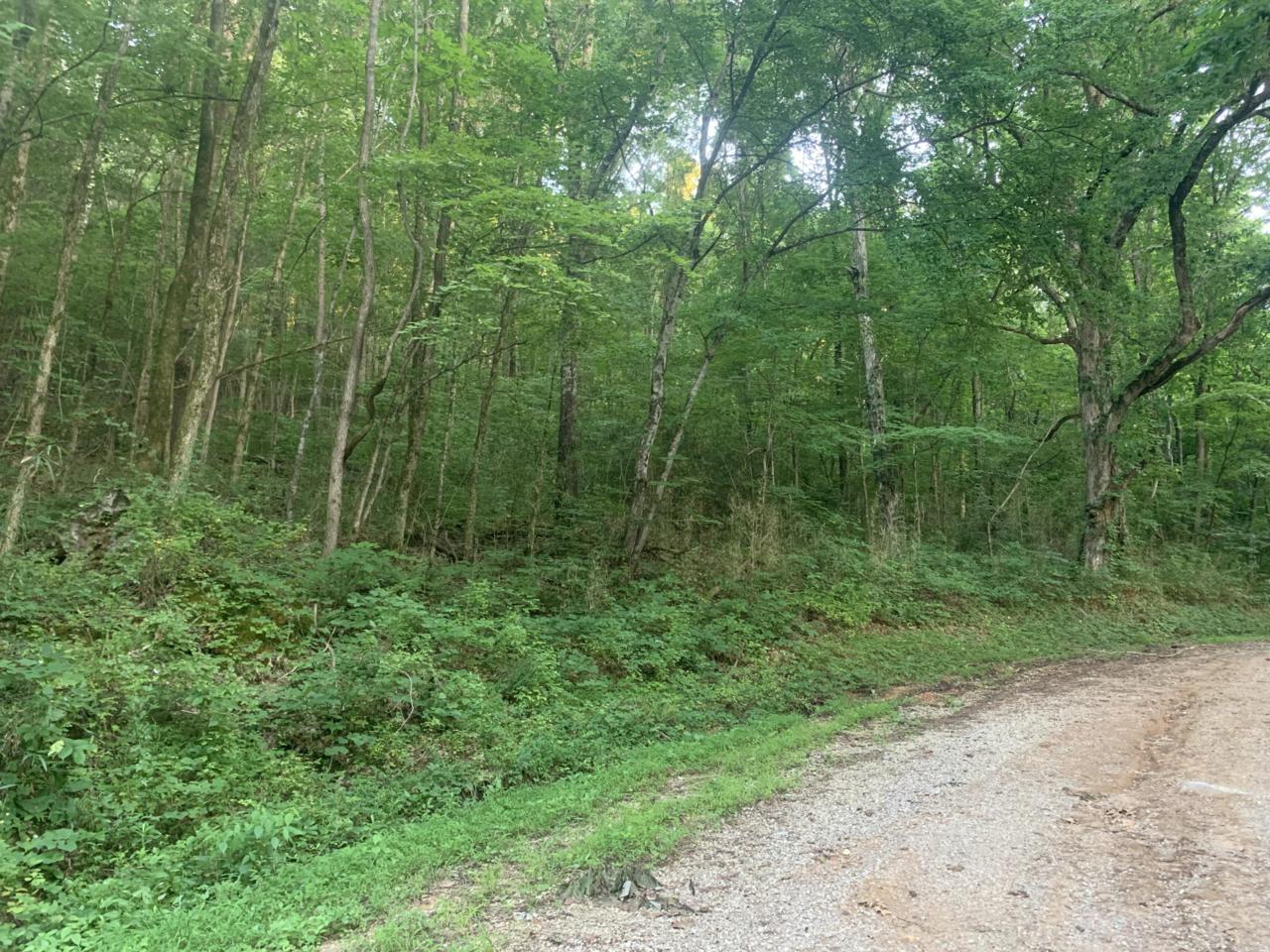 Overstreet Drive - Photo 1