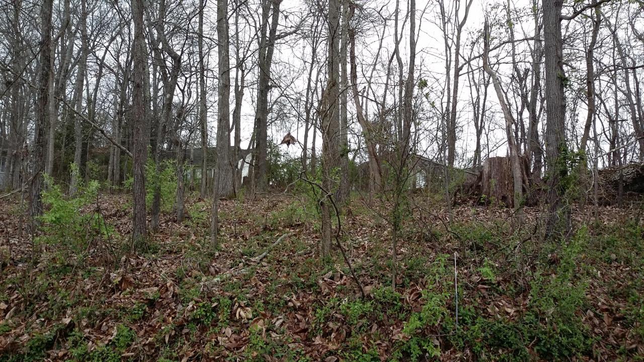 240 Ootsima Way - Photo 1