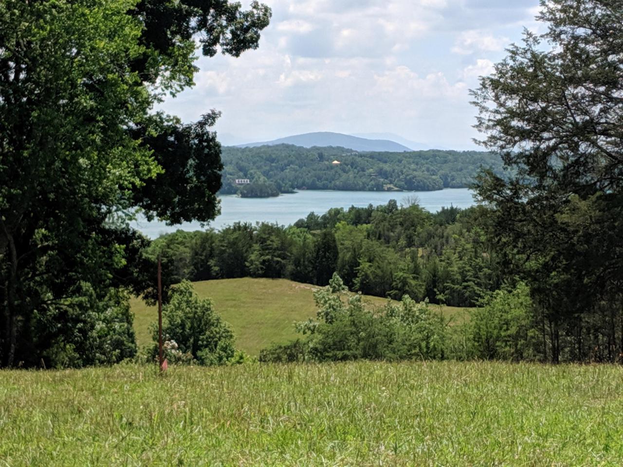 15.45 Acre Swannsylvania Rd - Photo 1