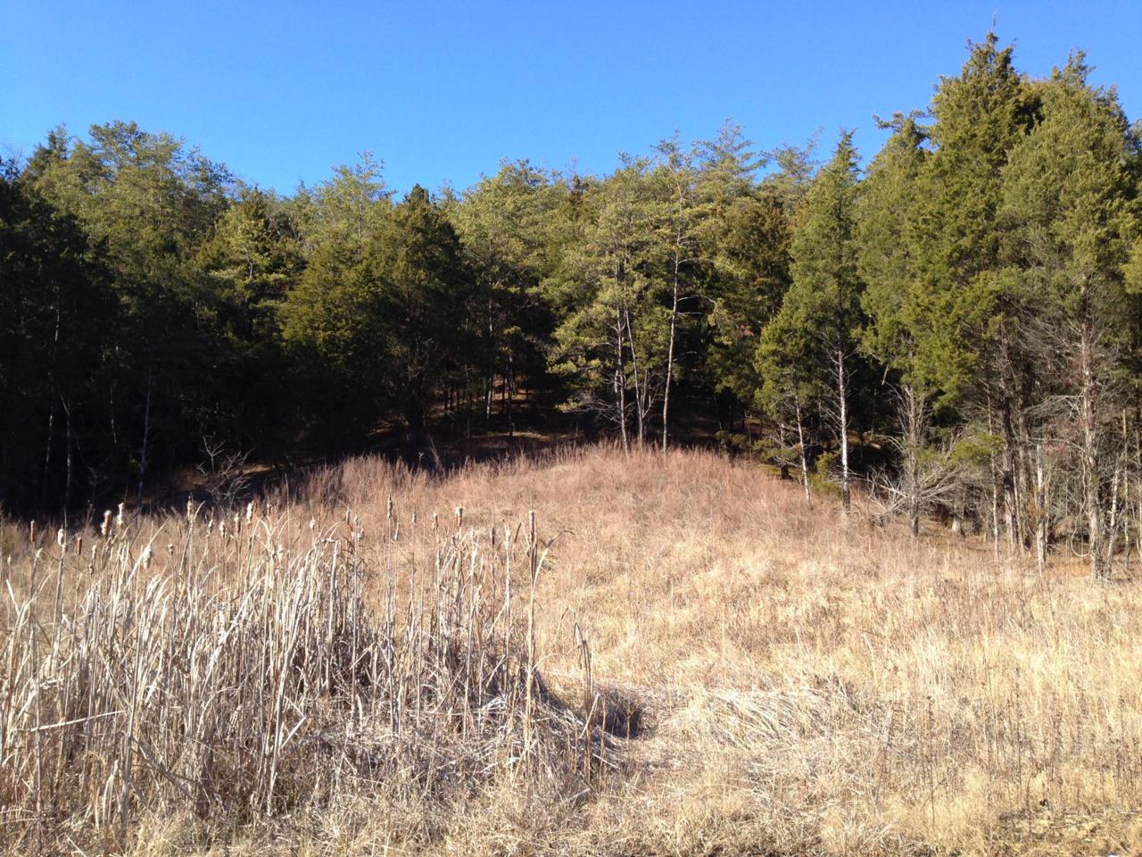 Lot 70 Grande Vista Drive - Photo 1