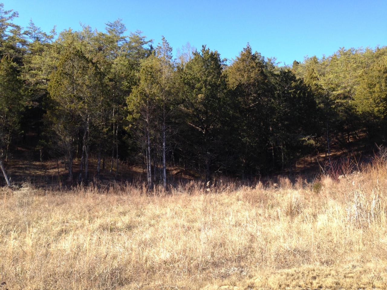 Lot 71 Grande Vista Drive - Photo 1
