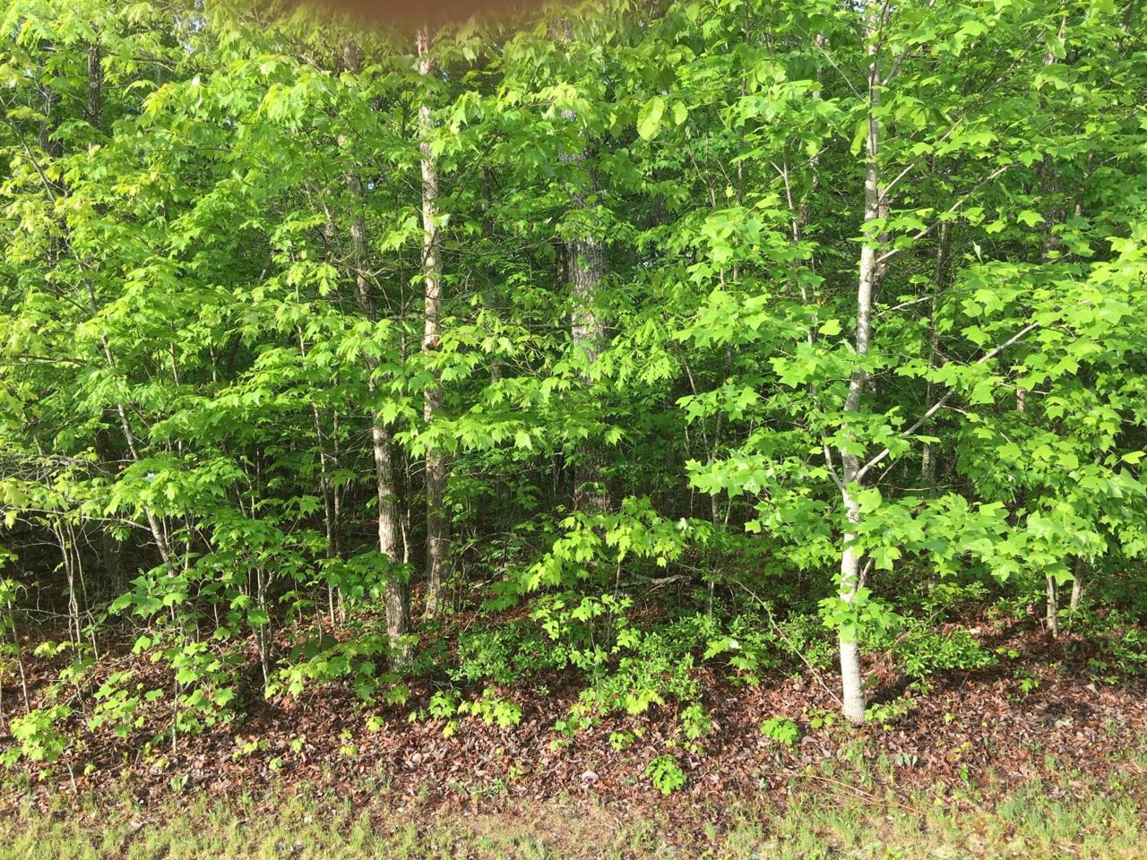 160 Manchester Rd - Photo 1