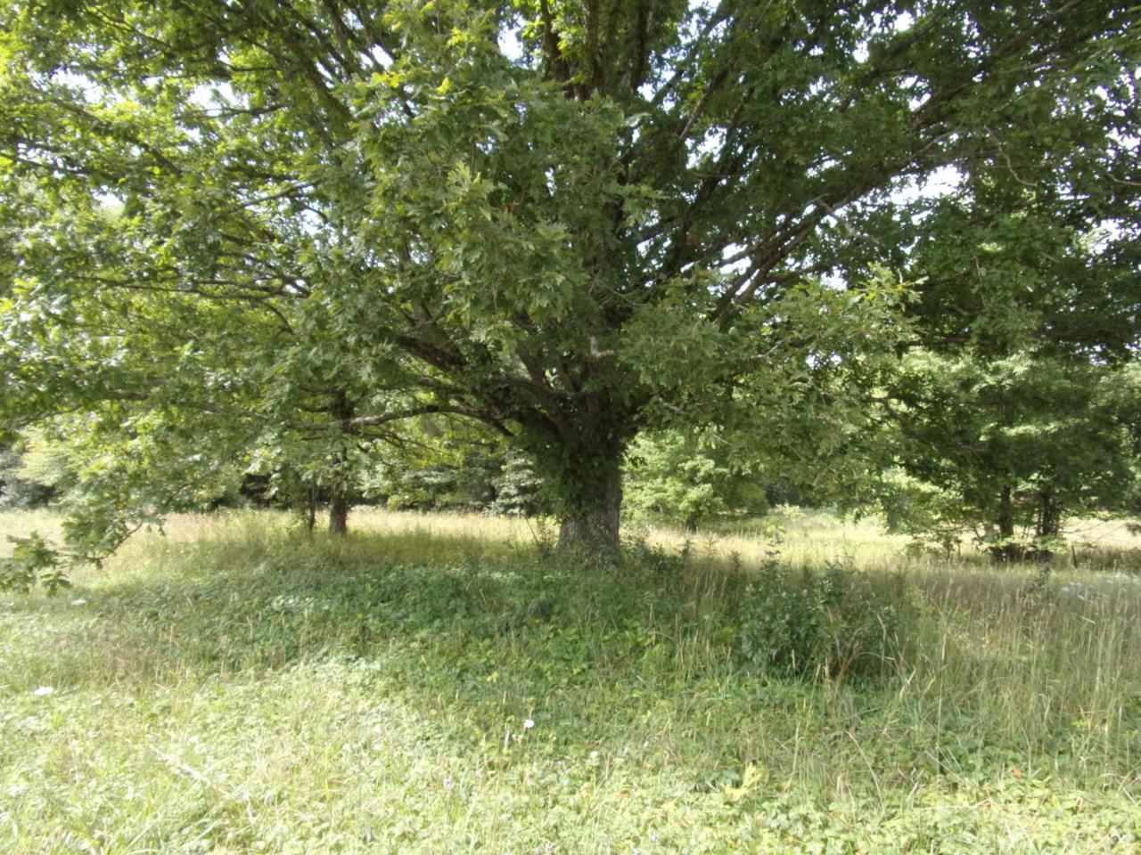 1 Old Cc Rd - Photo 1