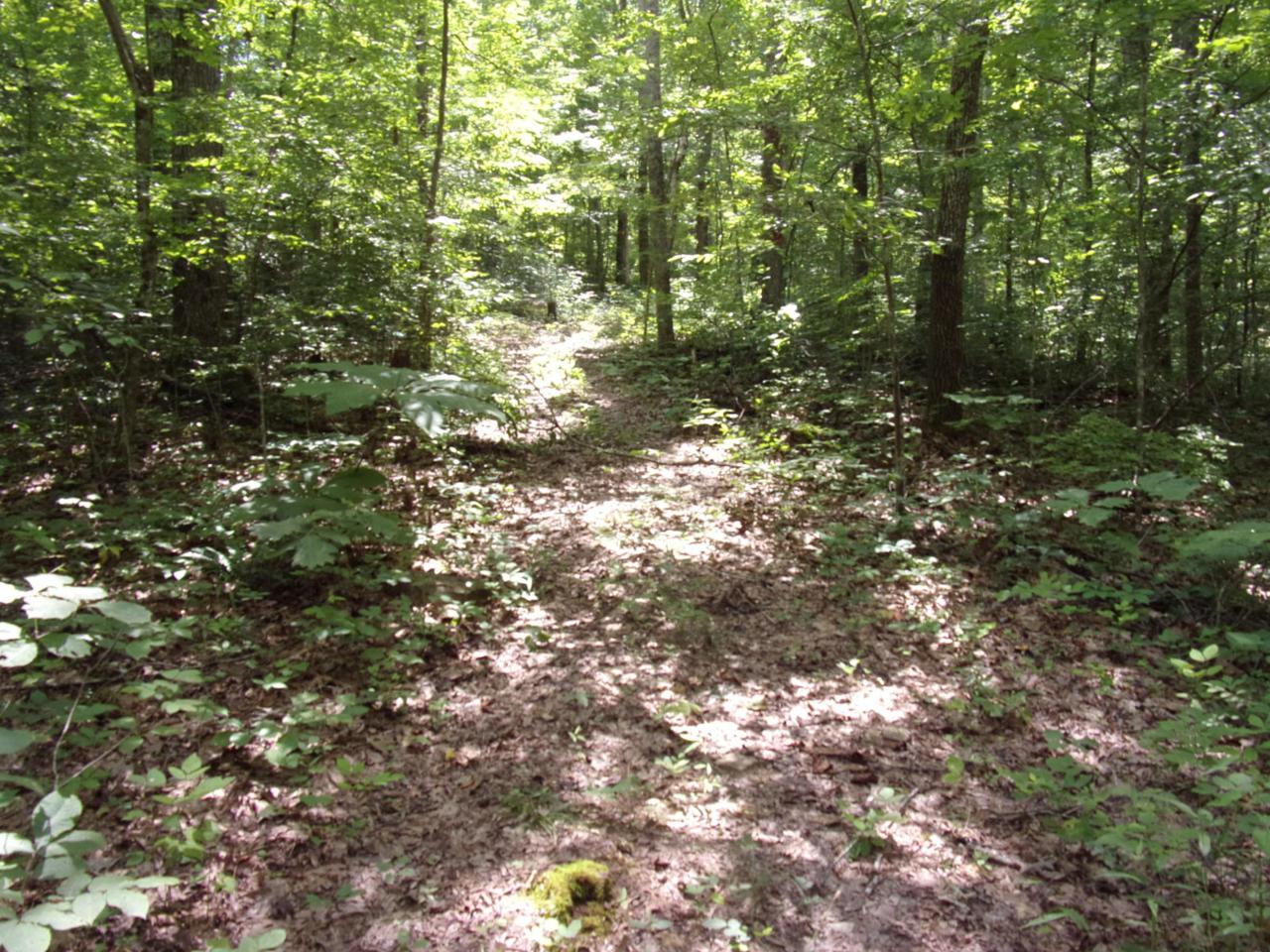 Green Lane - Photo 1