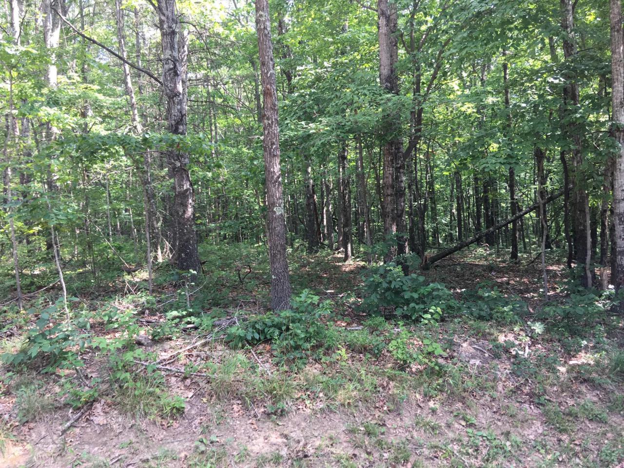 Milnor Terrace - Photo 1