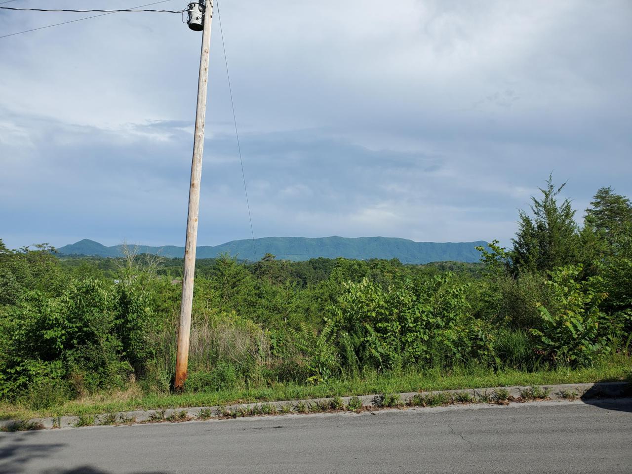 Lot 21 Rupert Drive - Photo 1