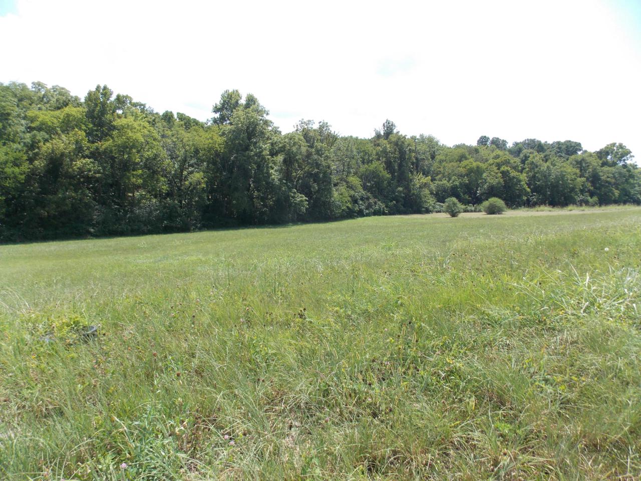 630 Winding Creek Way - Photo 1