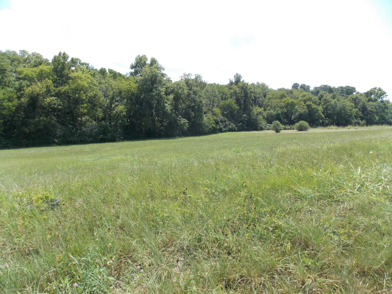 626 Winding Creek Way - Photo 1