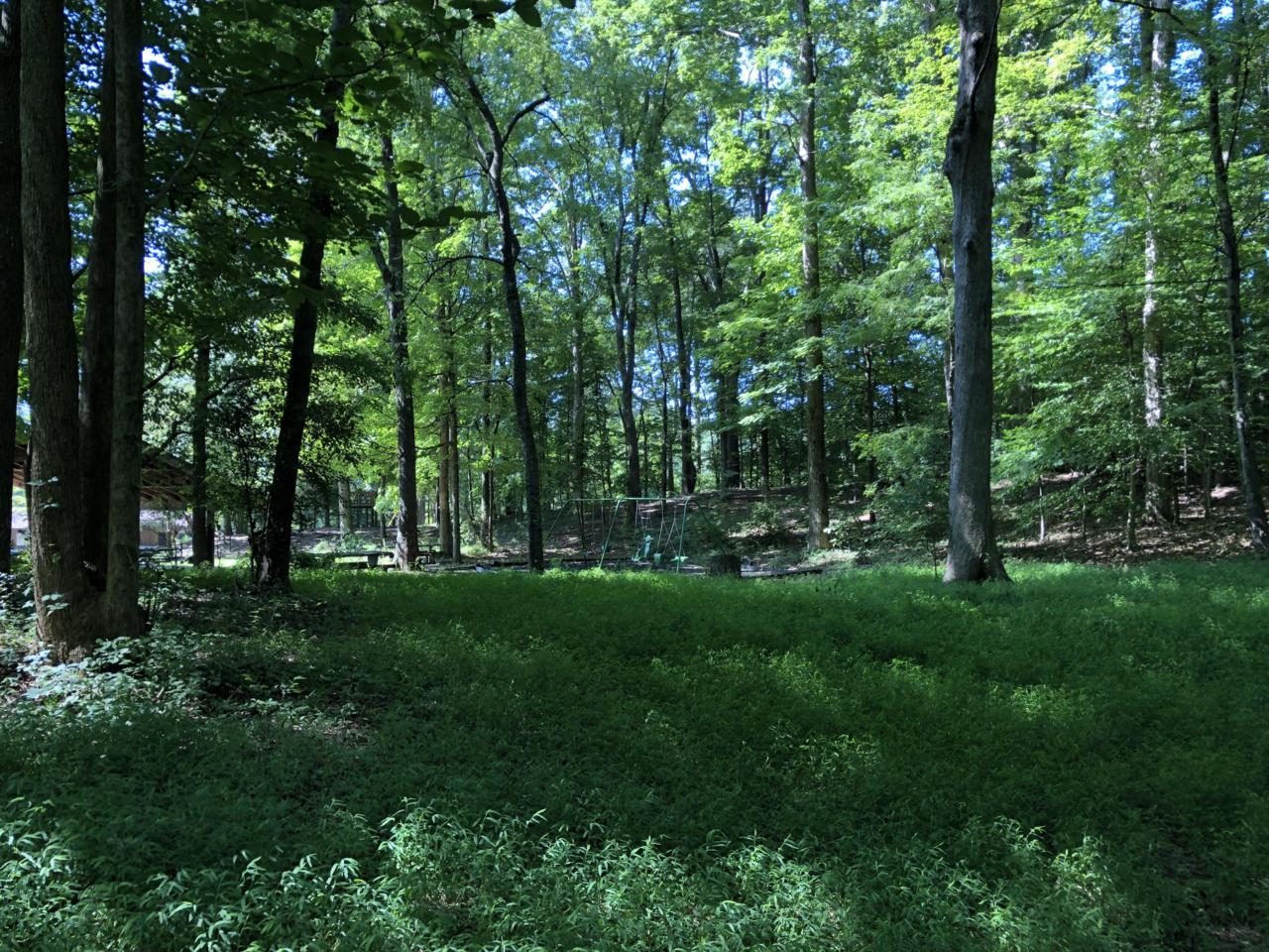 Hickory Tr - Photo 1