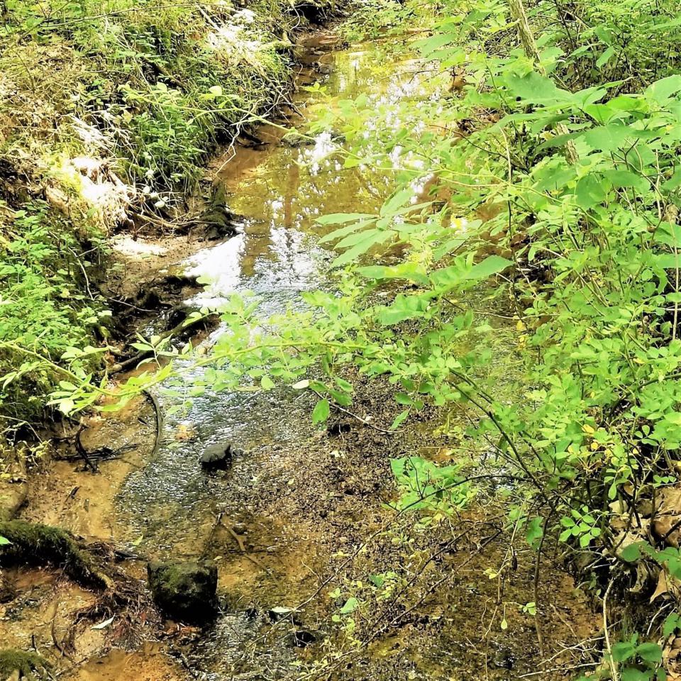 Black Hollow Lane - Photo 1