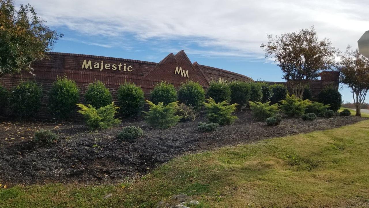 768 Majestic Mountains Blvd - Photo 1