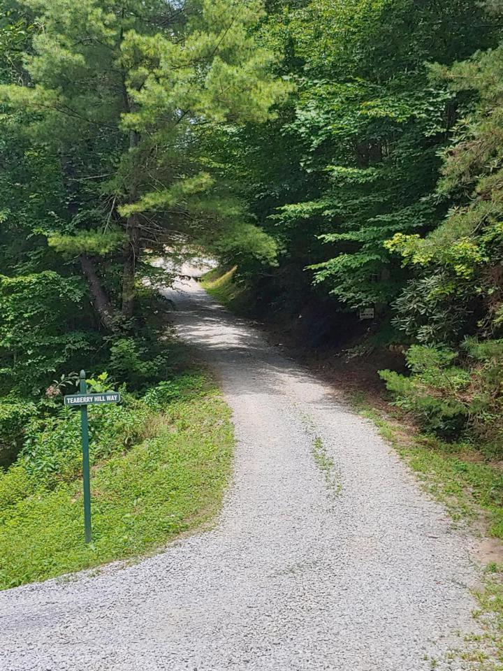 Lot 10 Teaberry Hill Way - Photo 1 Lot 10 Teaberry Hill Way - Photo 1