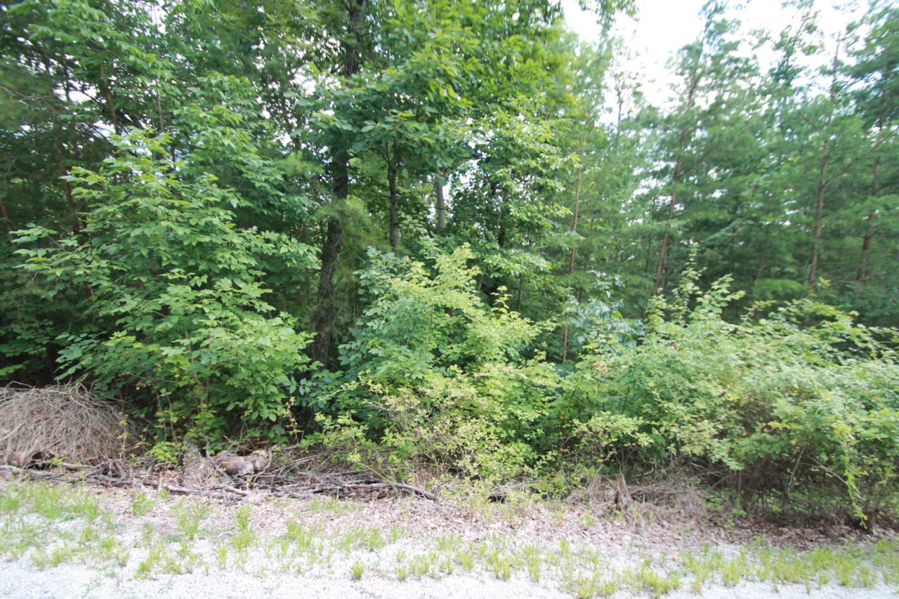 16 Byron Lane - Photo 1