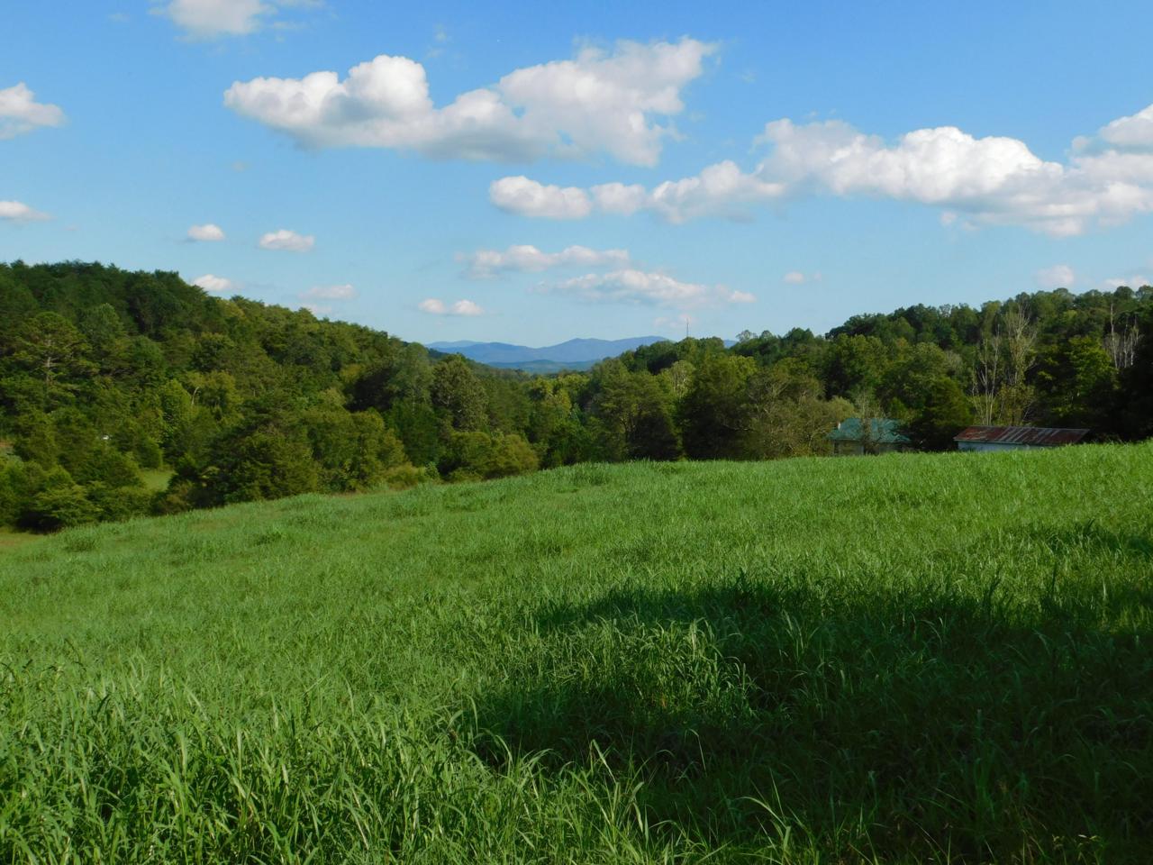 107 Sinking Creek Rd - Photo 1