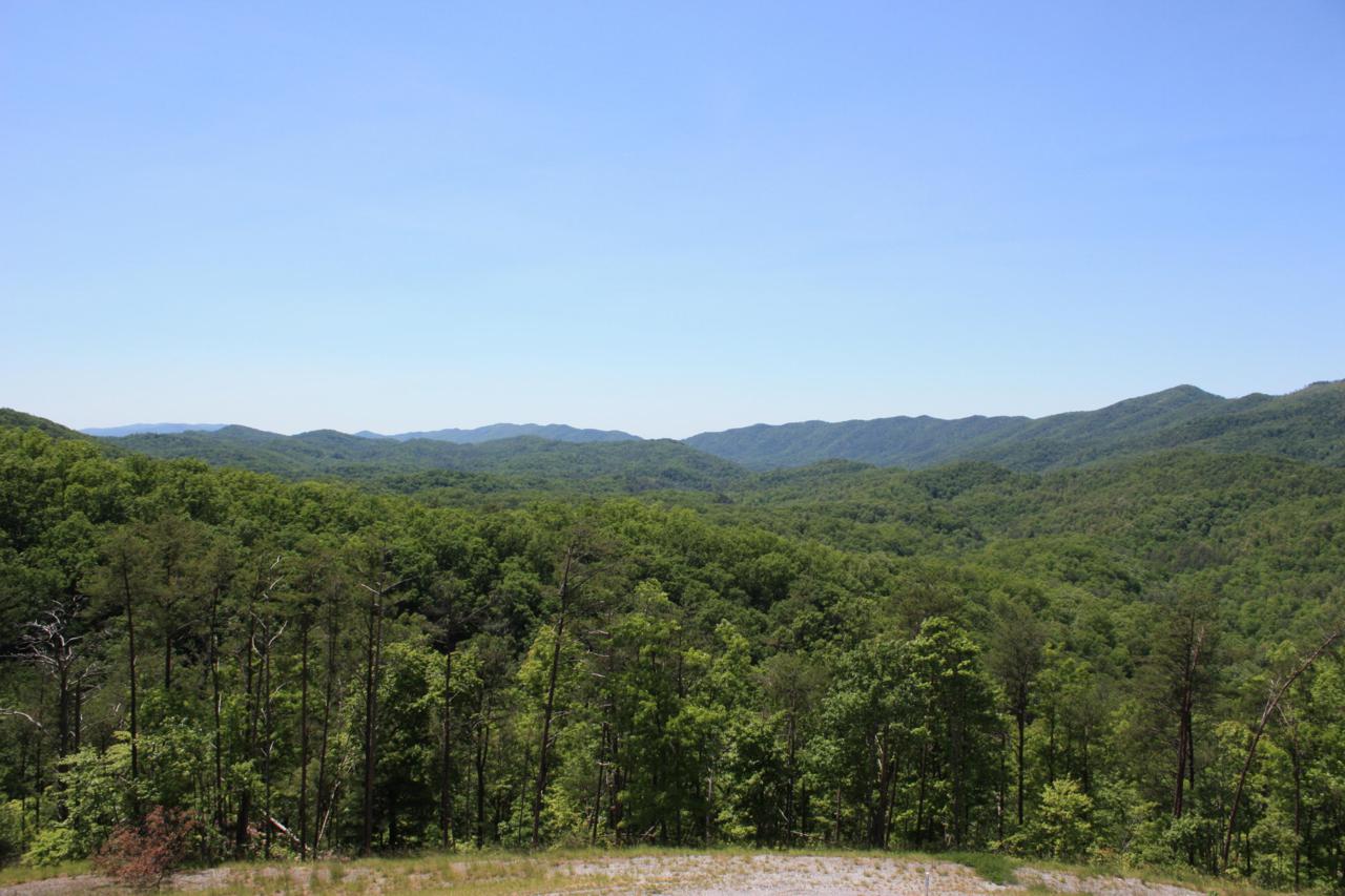 5030 Long Rifle Rd - Photo 1