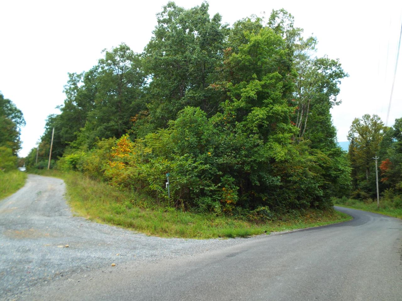 Trail Way - Photo 1