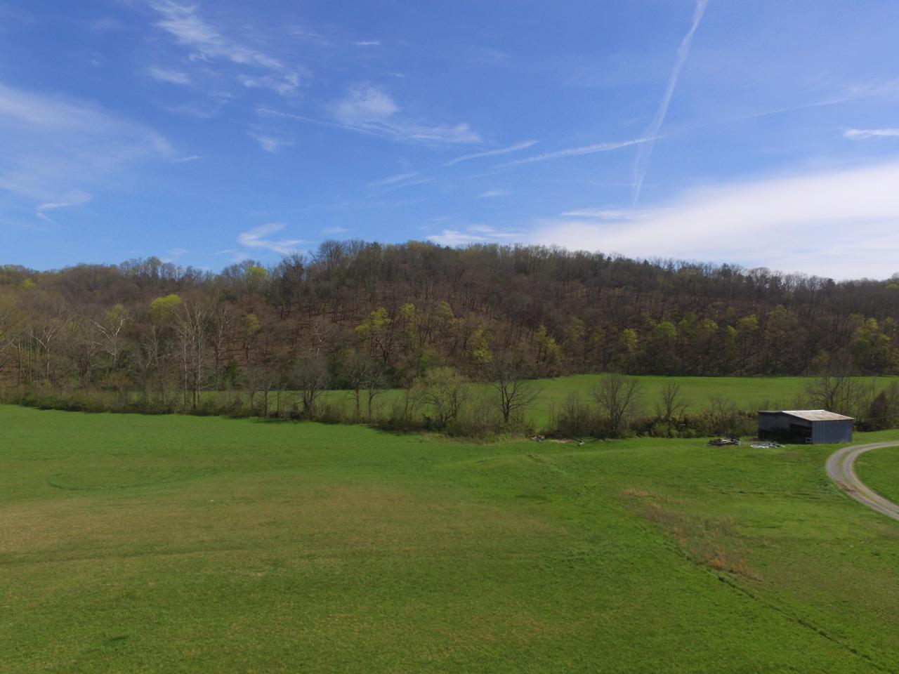 0 Fowlers Grove Rd - Photo 1