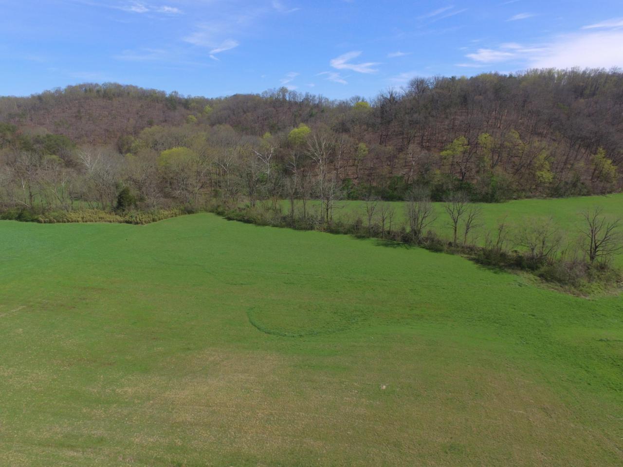 Lot 3 Fowlers Grove Rd - Photo 1