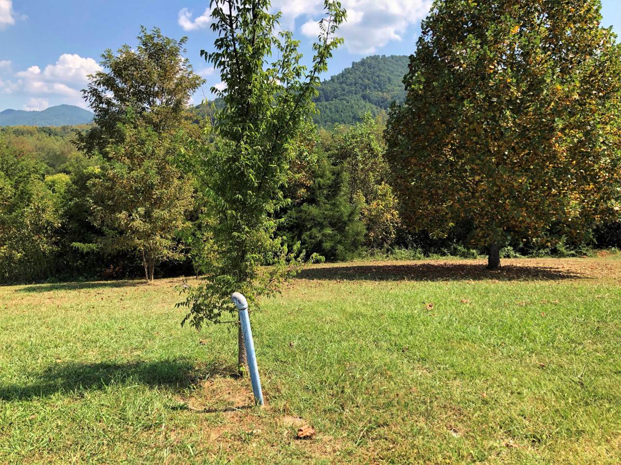 00 Amaryllis Rd Rd - Photo 1