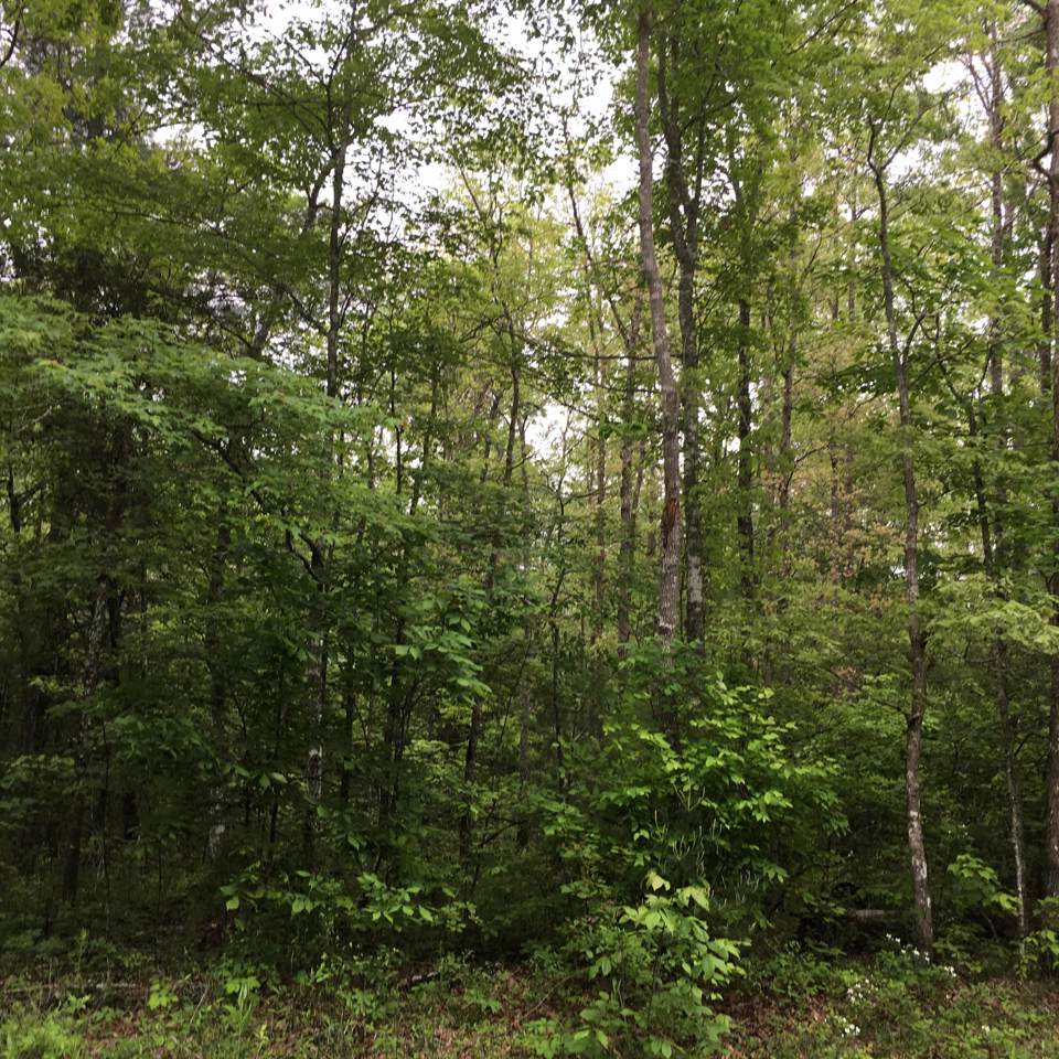 24 Devon Loop - Photo 1