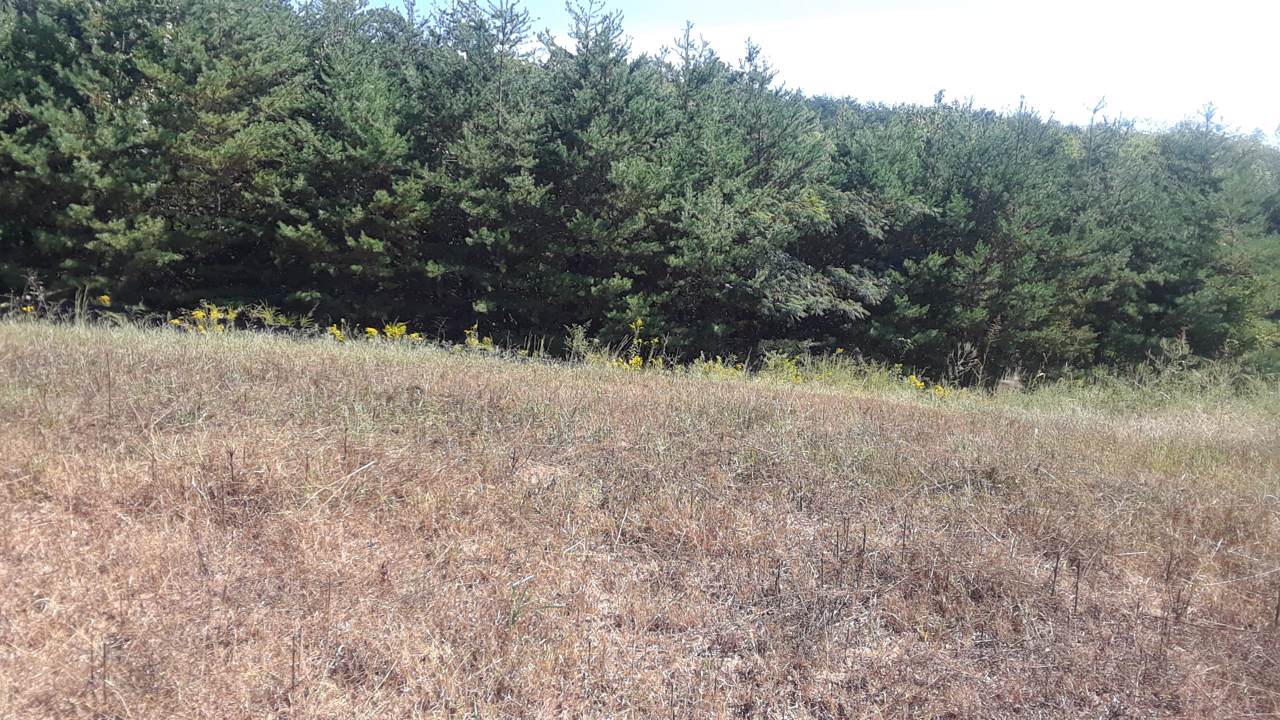 Lot 6 Melford Drive - Photo 1