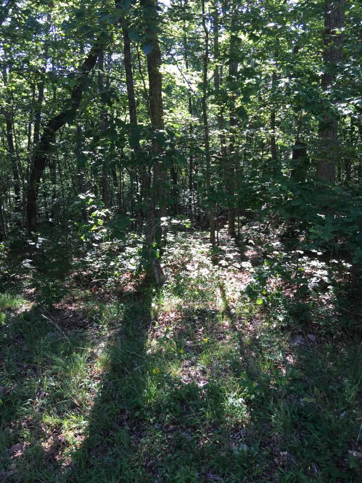753 Westchester Drive - Photo 1