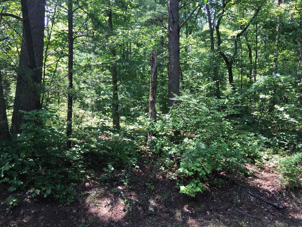 183 Amherst Drive - Photo 1