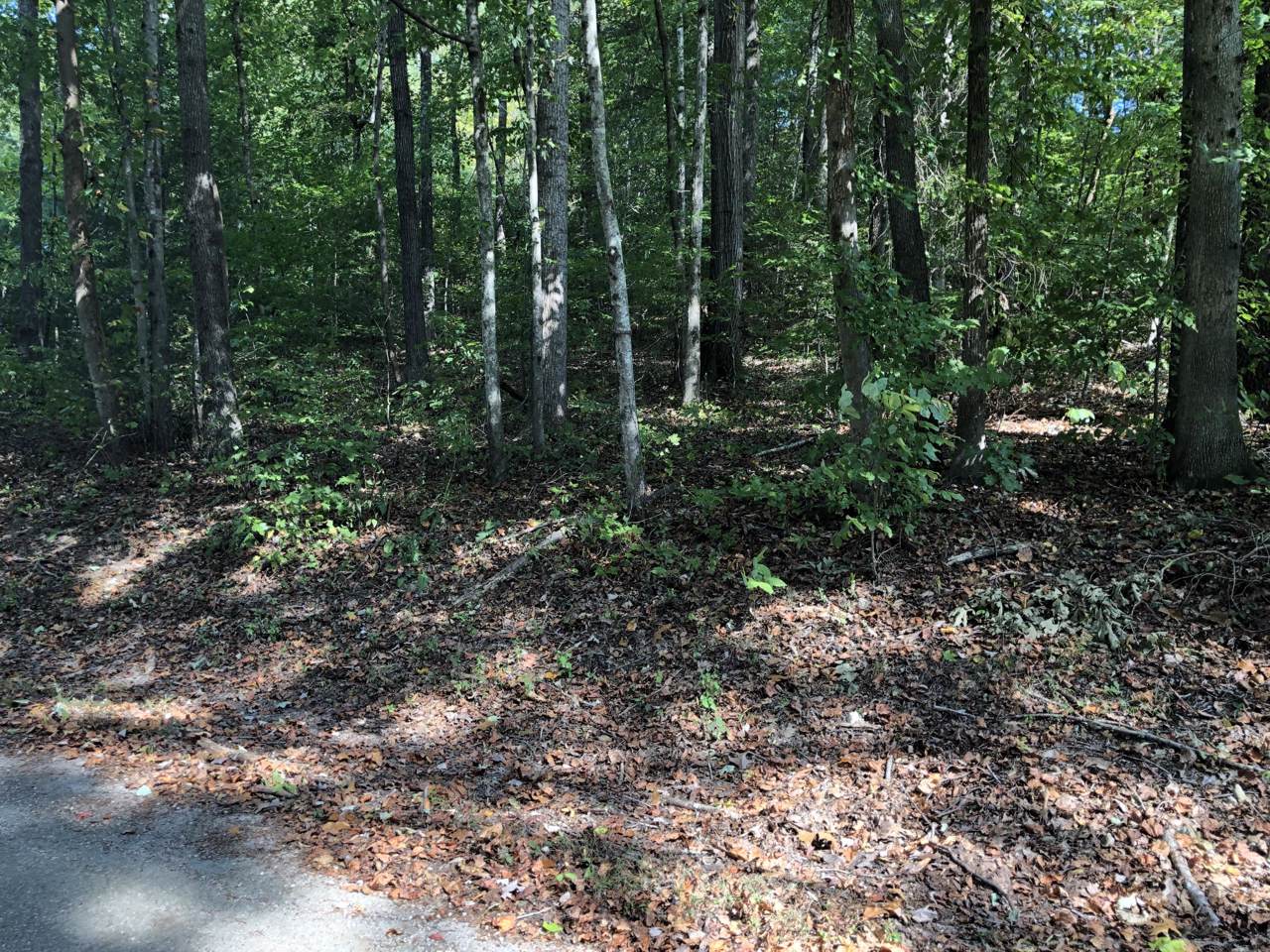 Coalfield Rd - Photo 1