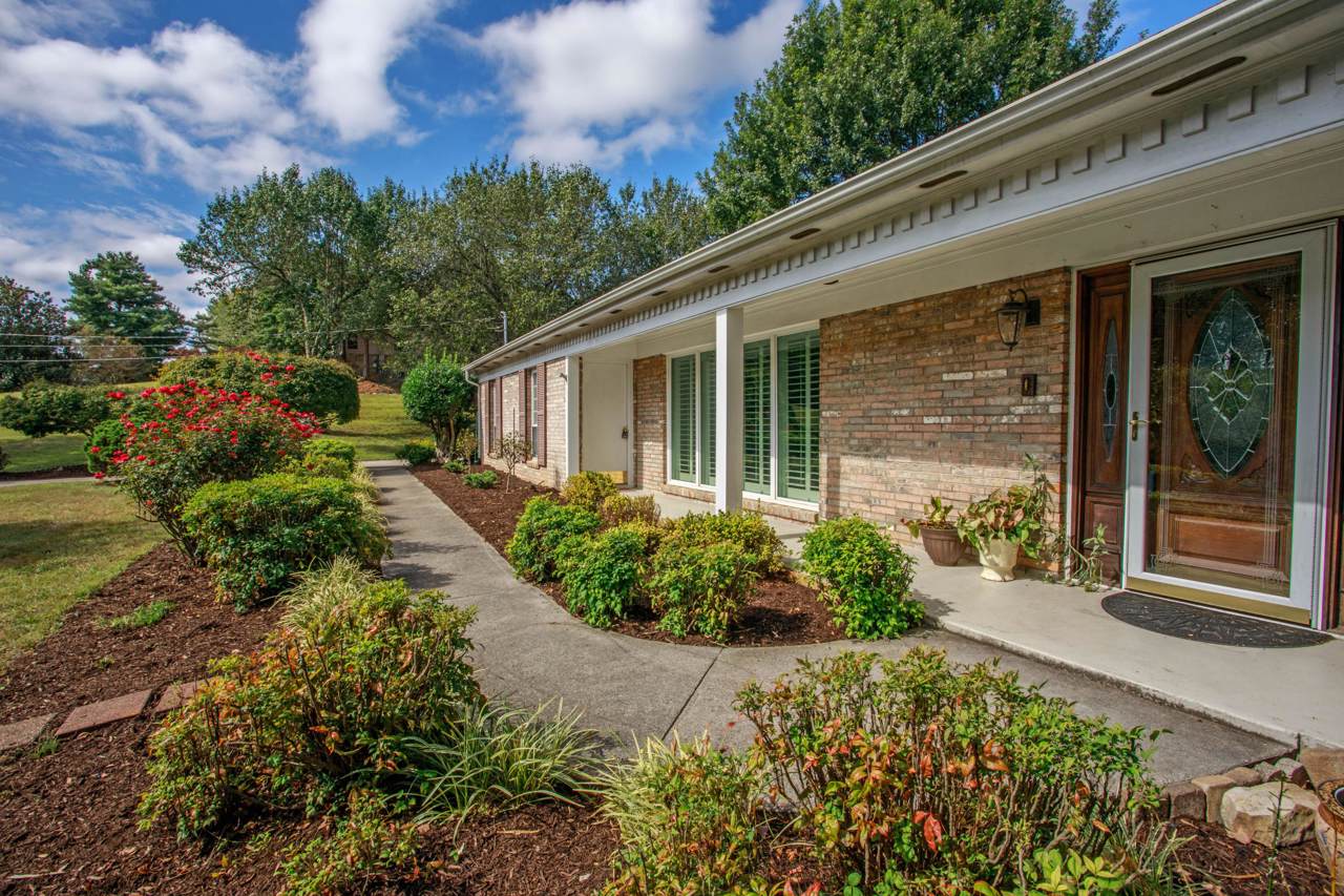 10053 Tan Rara Drive - Photo 1