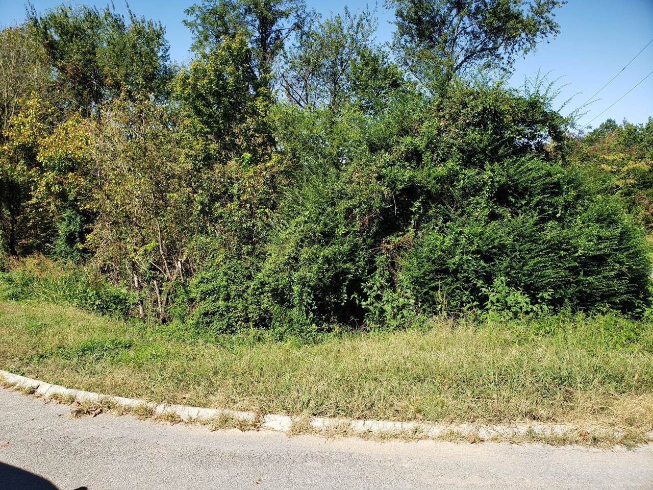 Lot 11 Stirrup Lane - Photo 1