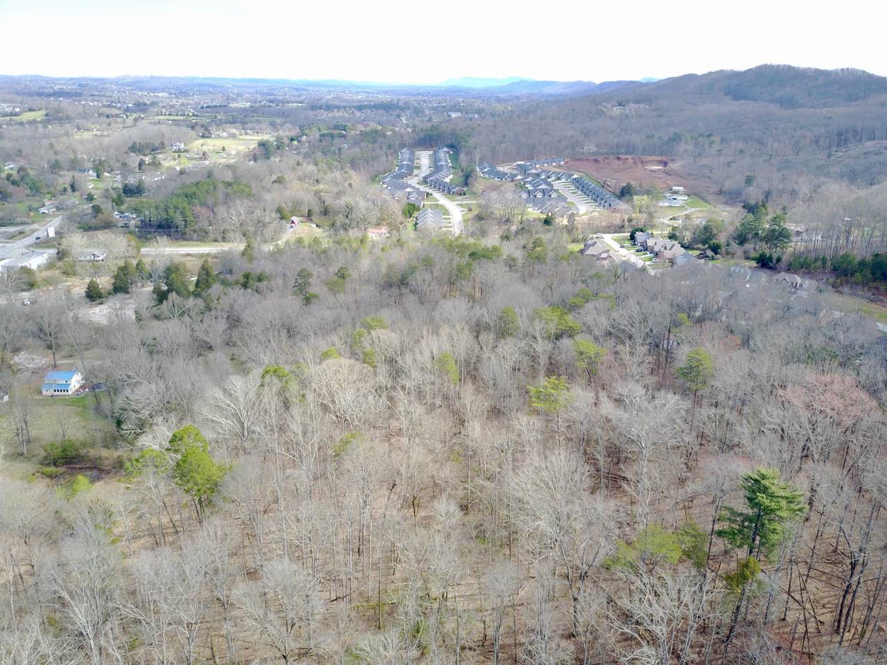 1611 Dry Gap Pike - Photo 1