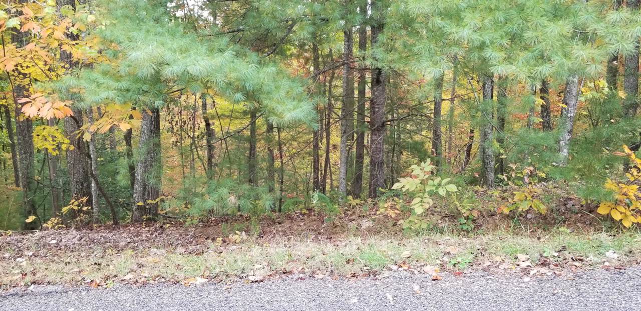 185 Pineridge Loop - Photo 1