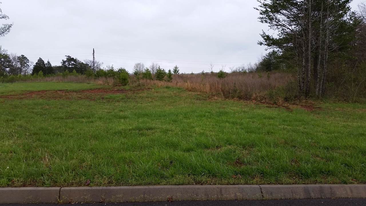 Lot 94 Red Wing Drive - Photo 1