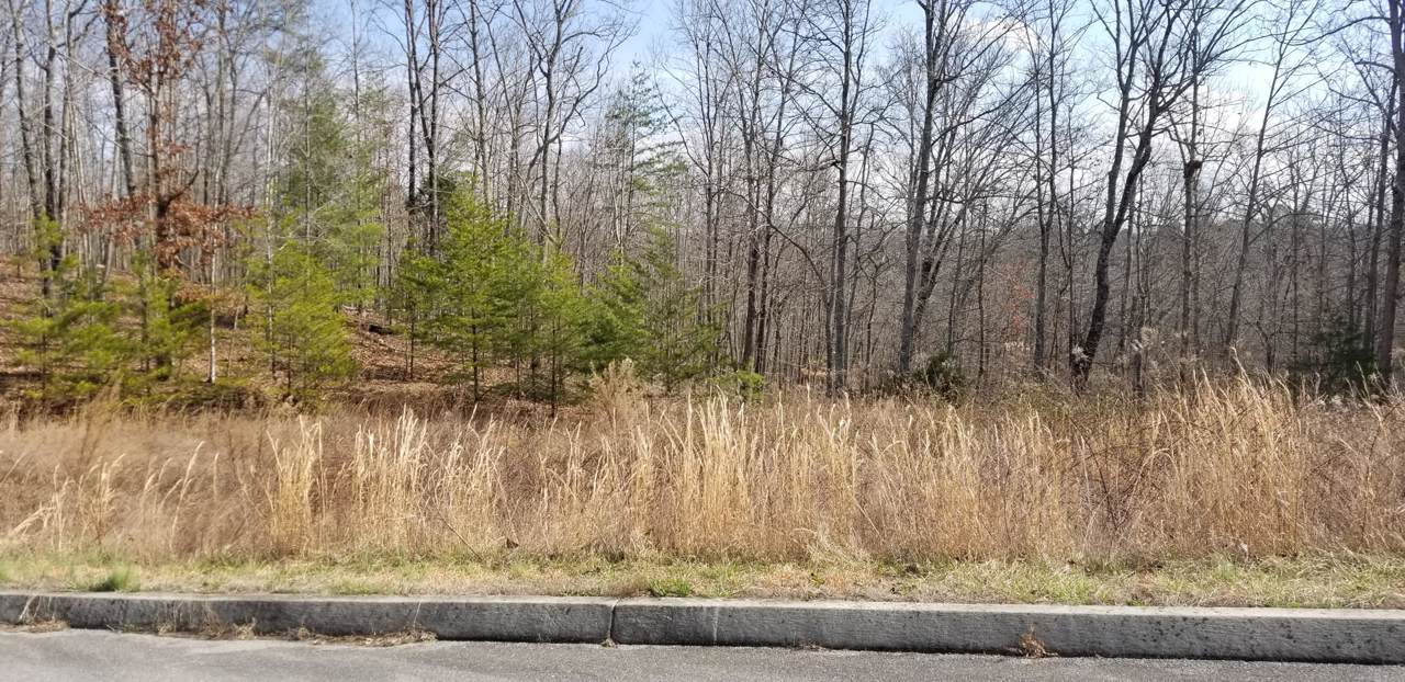 Deer Ridge Rd - Photo 1