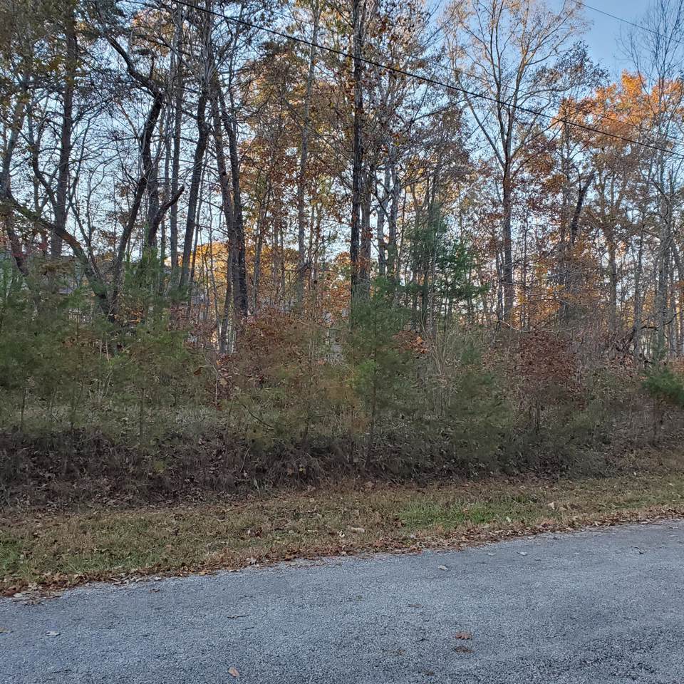 149 Adler Lane Lane - Photo 1