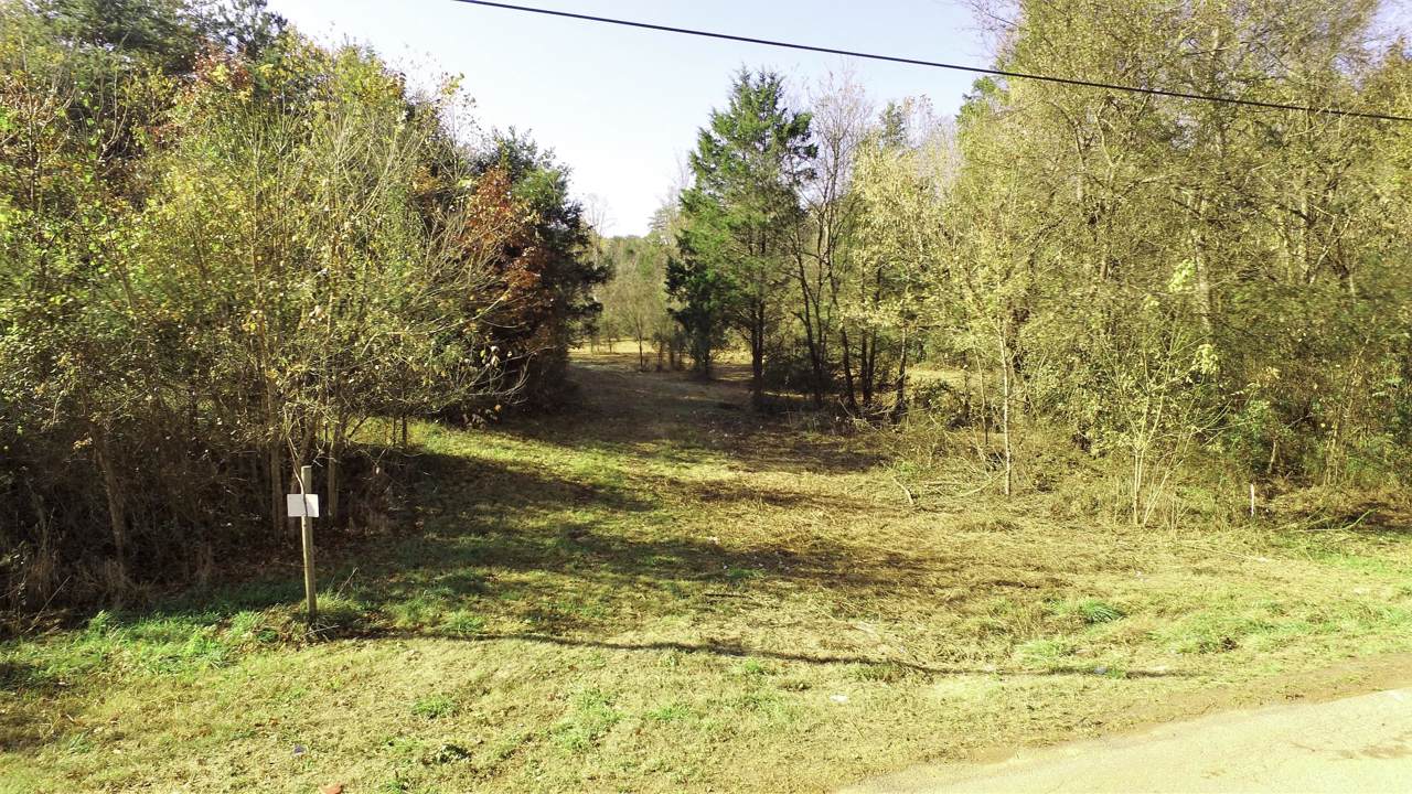 1725 Dumplin Loop Rd - Photo 1