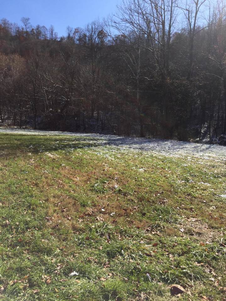2584 Powell River Rd - Photo 1