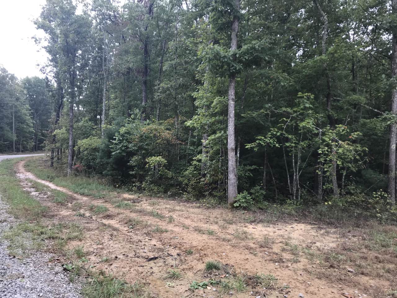 Spruce Creek Lot 338 Drive - Photo 1