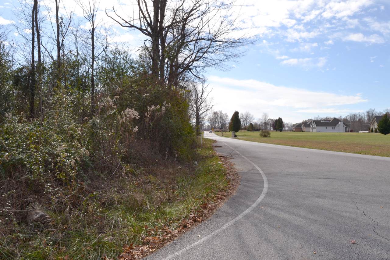 Pow Camp Rd - Photo 1