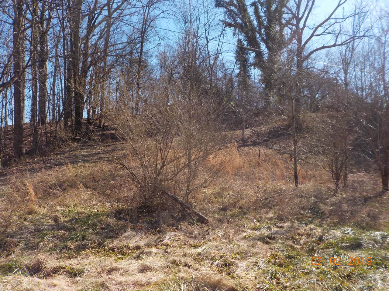 2910 Old Whites Mill Rd - Photo 1