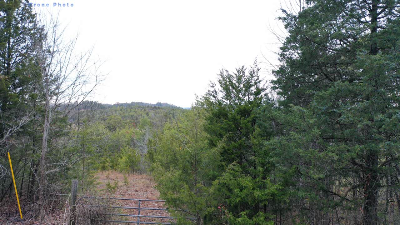 Bohanan Top Rd - Photo 1 Bohanan Top Rd - Photo 1