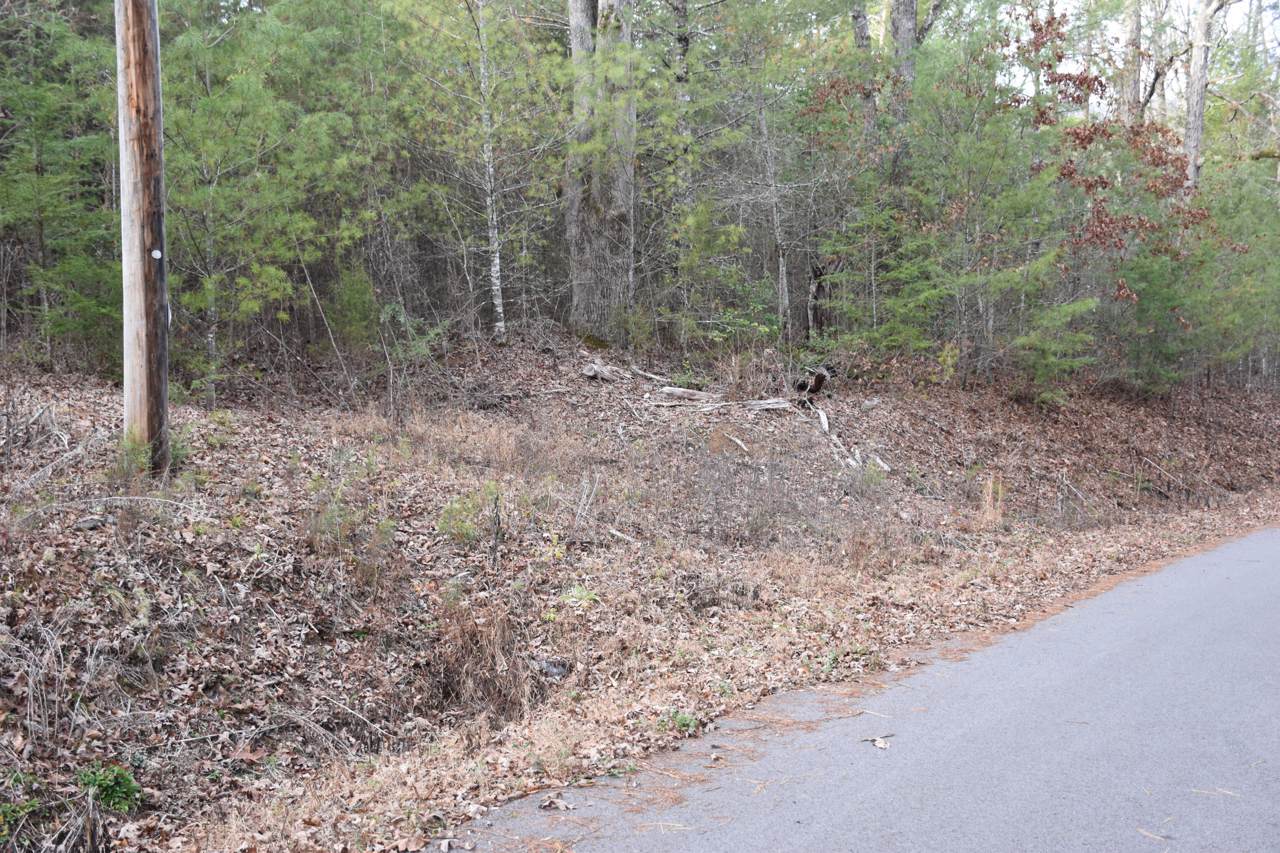 Montevallo Rd - Photo 1 Montevallo Rd - Photo 1