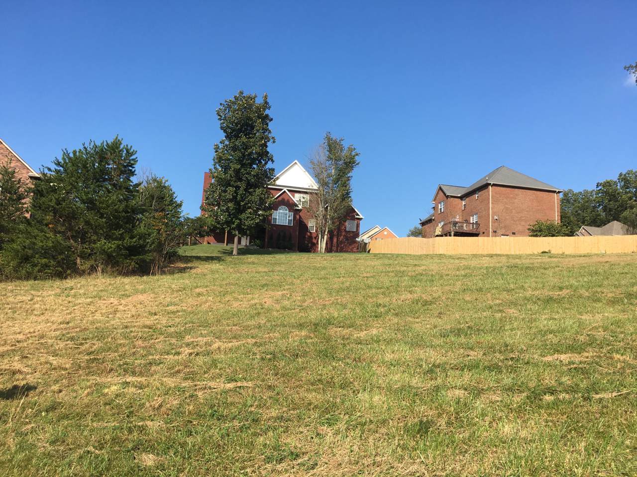 1041 Crown Ridge Lane - Photo 1