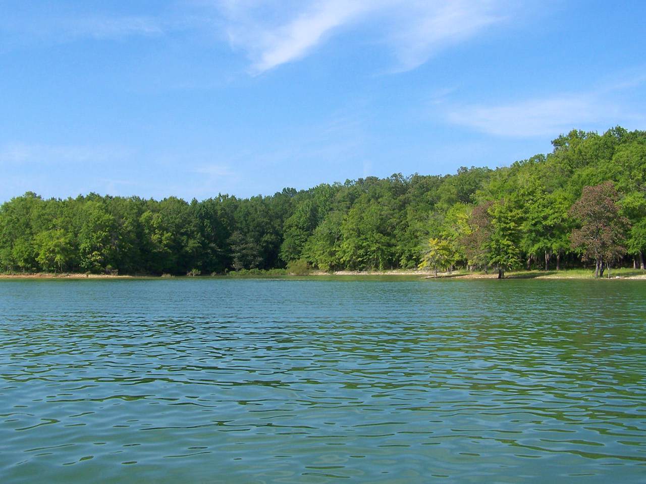 1645 Hwy 25 70 - Photo 1