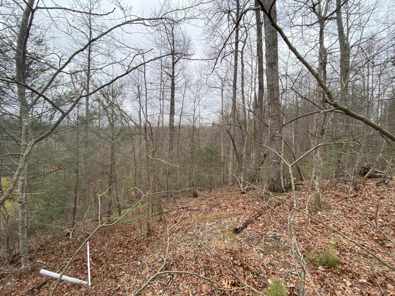 2520 Treehouse Lane - Photo 1 2520 Treehouse Lane - Photo 1