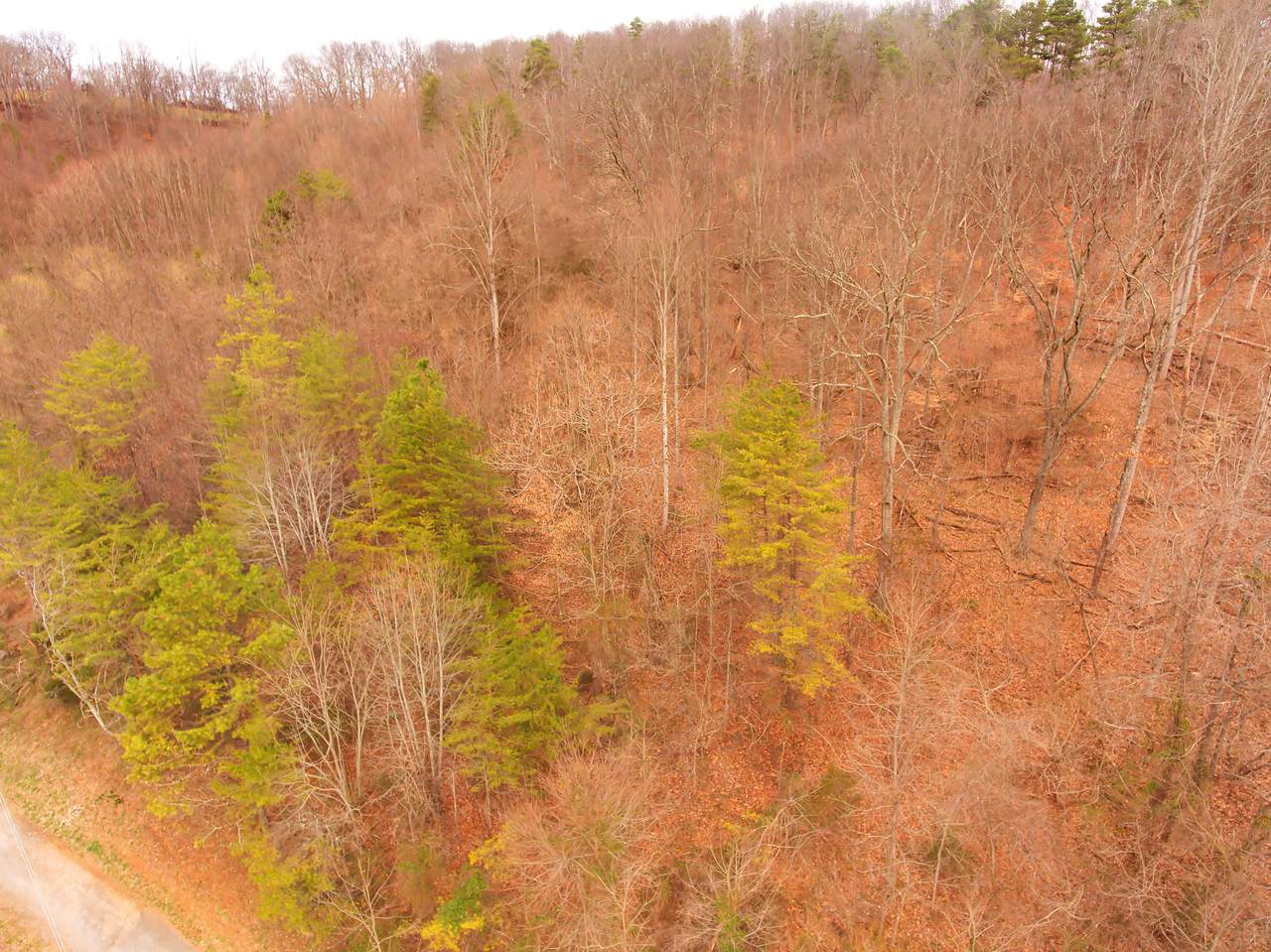 Tip Coffey Lane - Photo 1 Tip Coffey Lane - Photo 1