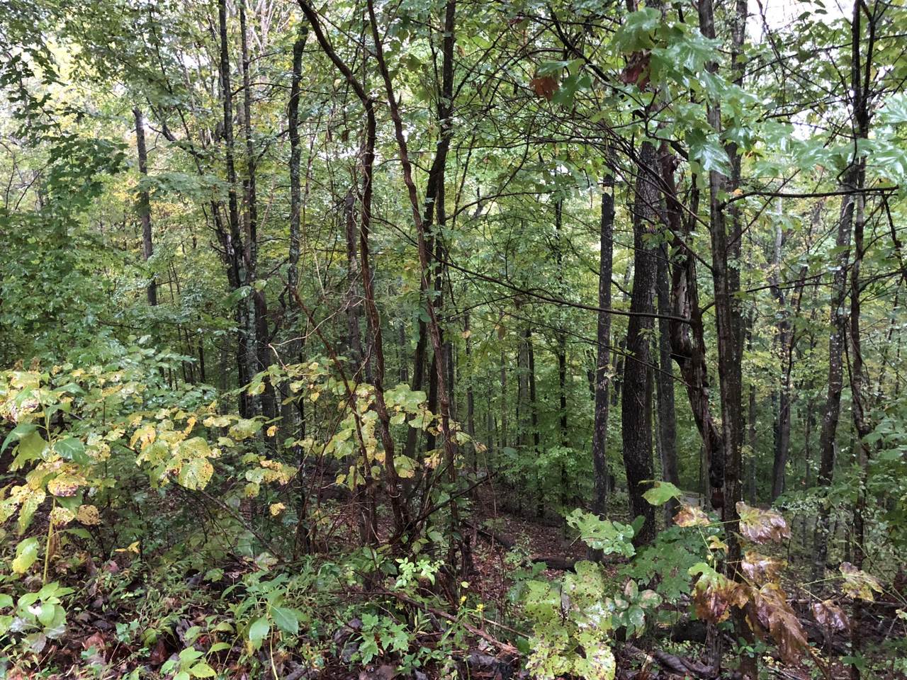 Hickory Star Rd Lot 32 - Photo 1 Hickory Star Rd Lot 32 - Photo 1