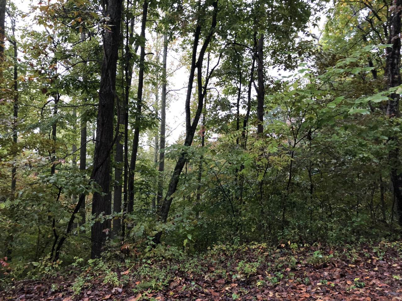Overlook Trail Lot 55 - Photo 1 Overlook Trail Lot 55 - Photo 1