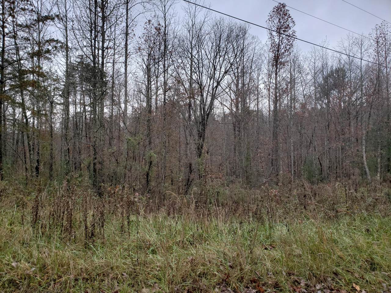 Lot 11 Doyle Garrison Lane - Photo 1 Lot 11 Doyle Garrison Lane - Photo 1